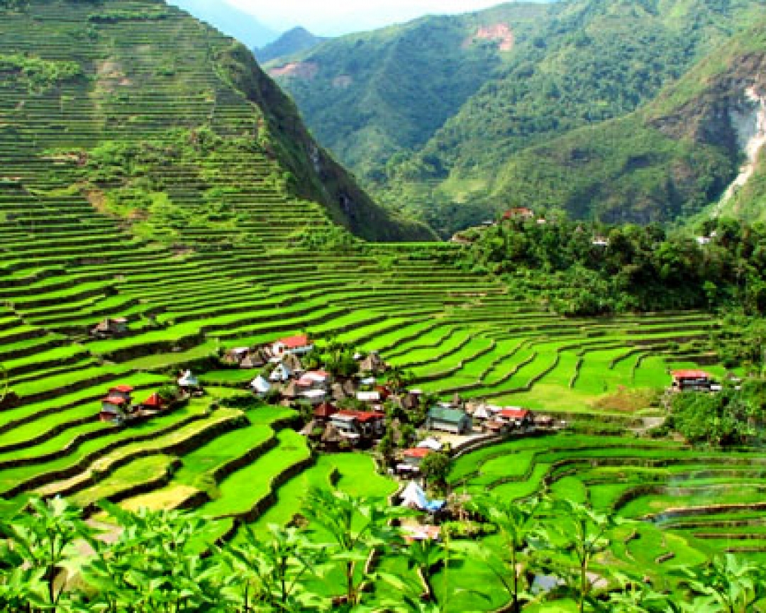 Banaue Rice Terraces