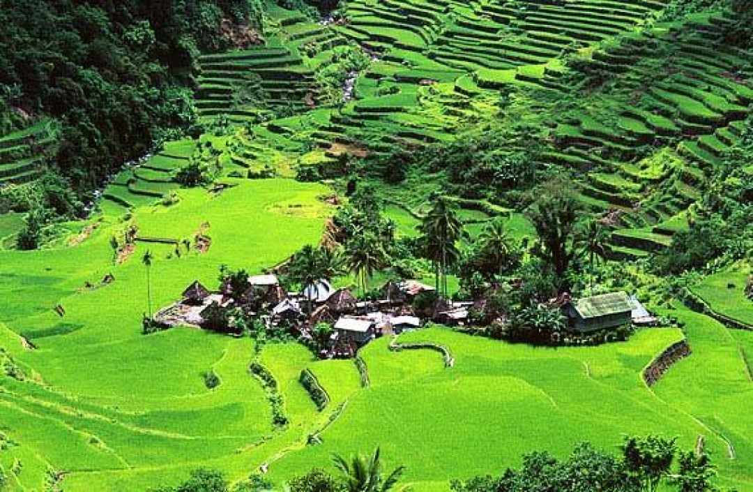 Batad Philippines