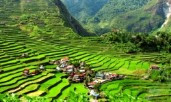 Banaue Rice Terraces