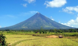 Bicol