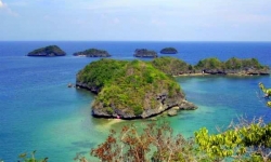 Crocodile Island Boracay