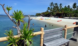 Dos Palmas Island Resort